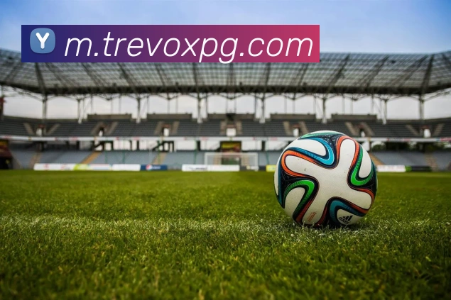 pg官网APP 体育赛事宣传图